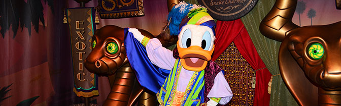 Donald Duck Magic Kingdom meet and greet KennythePirate