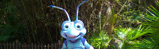 Flik meet and greet at Animal Kingdom in Walt Disney World