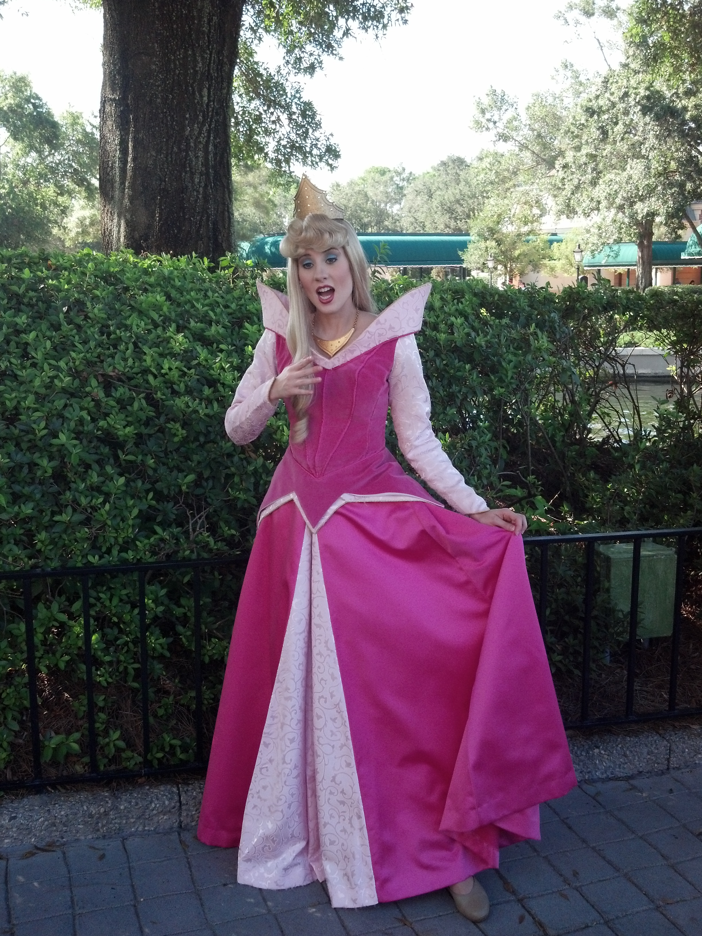 Aurora (Sleeping Beauty)  in France at Epcot 2012
