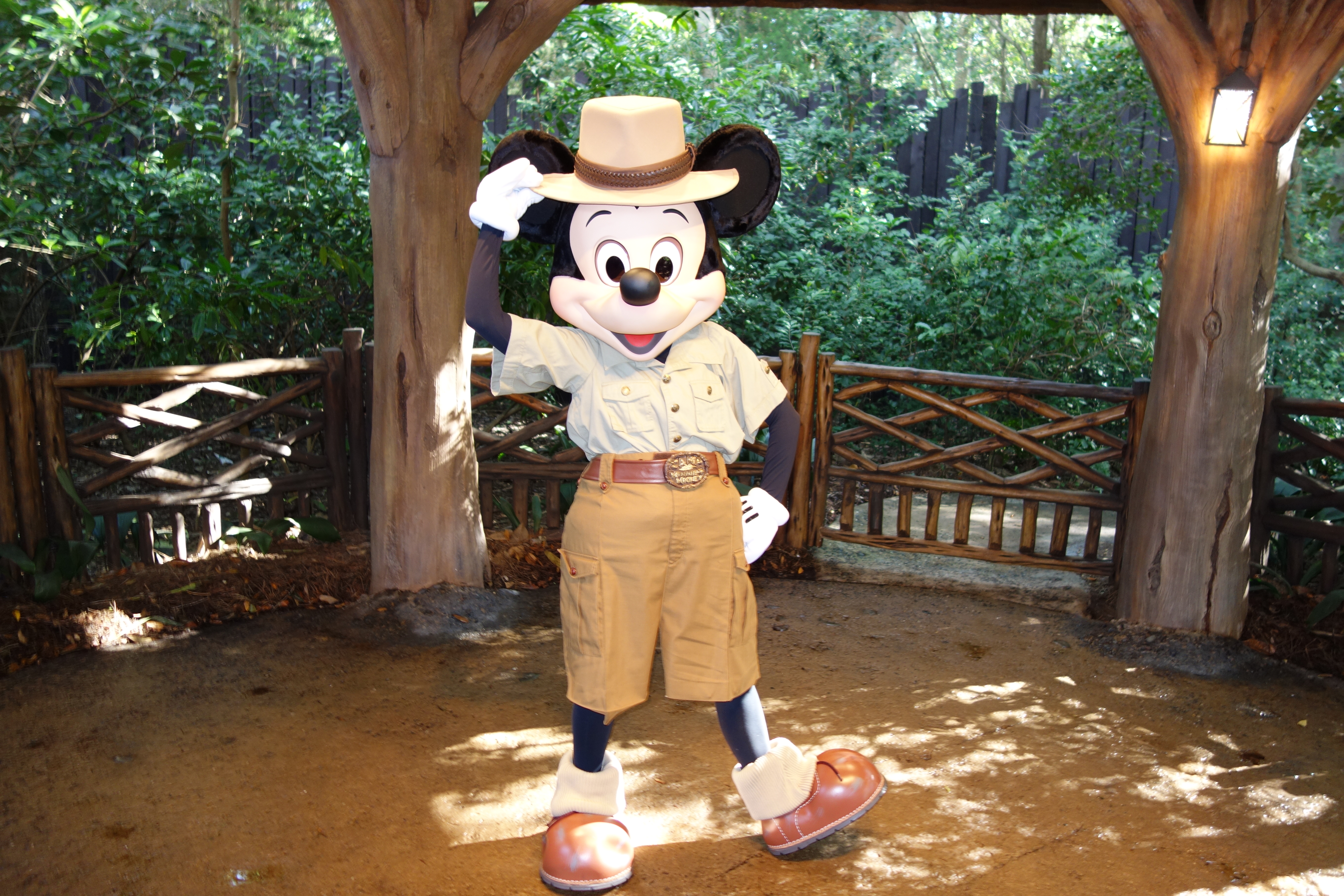 Mickey Mouse in Animal Kingdom 2012
