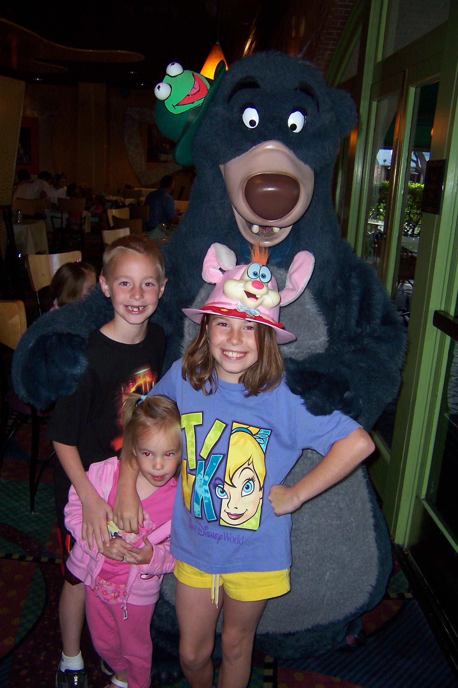 Baloo Disneyland 2007