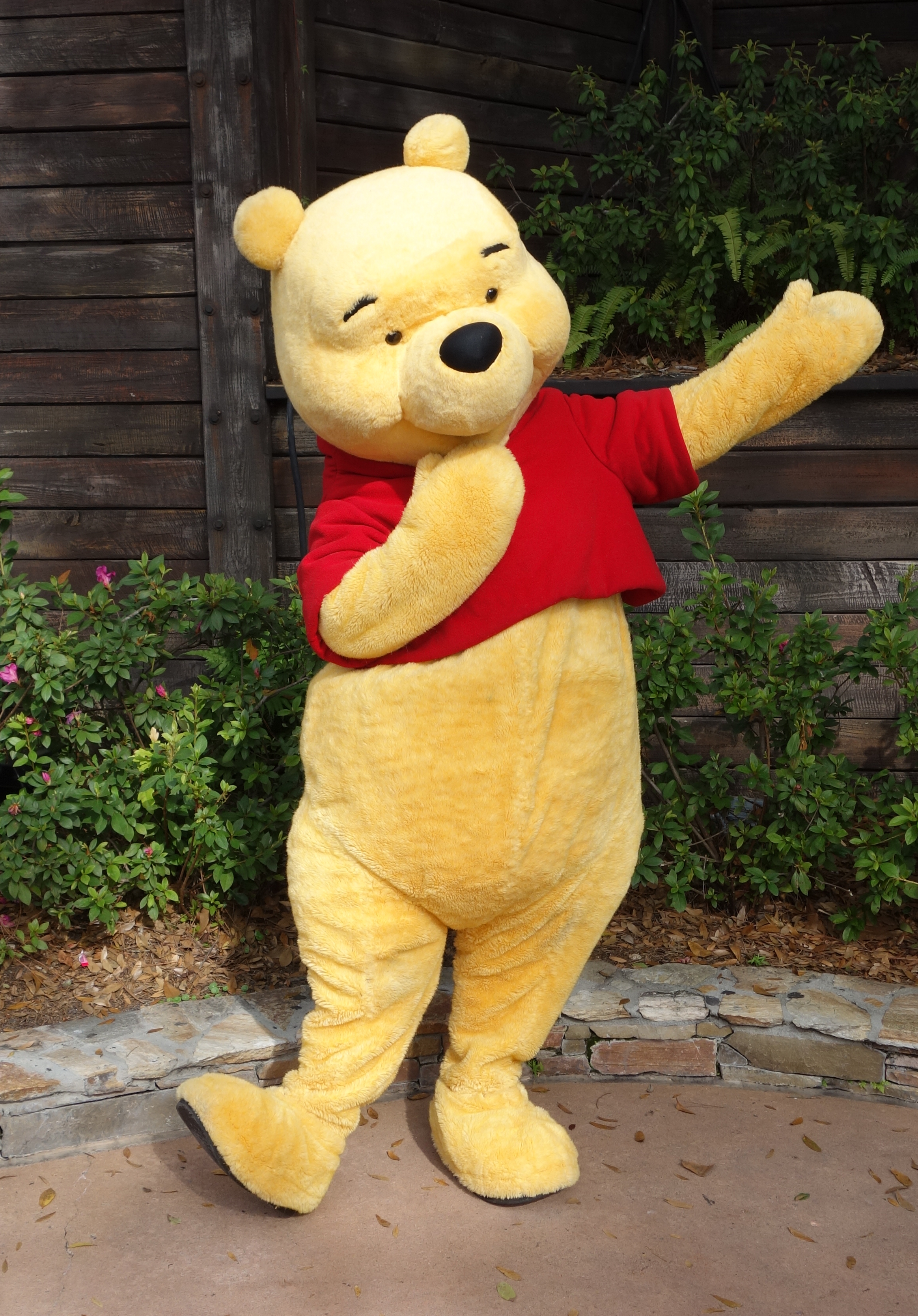 Winnie the Pooh Magic Kingdom 2013