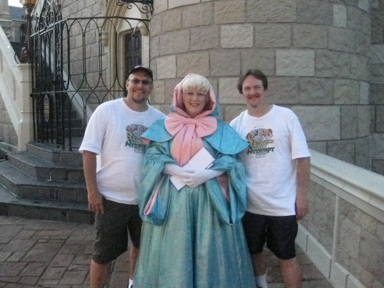 Fairy Godmother - Magic Kingdom 2010