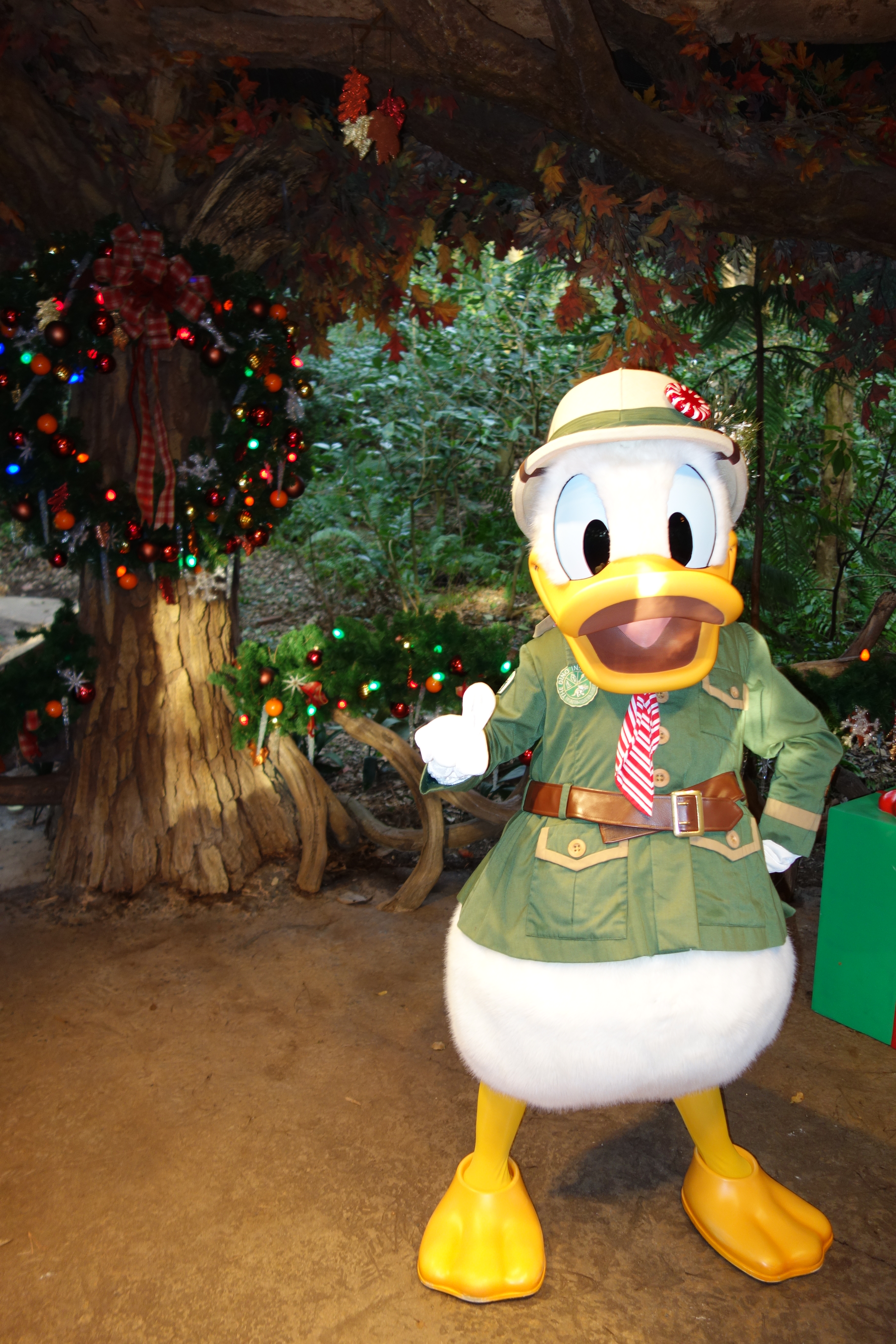 Donald Duck Animal Kingdom 2012