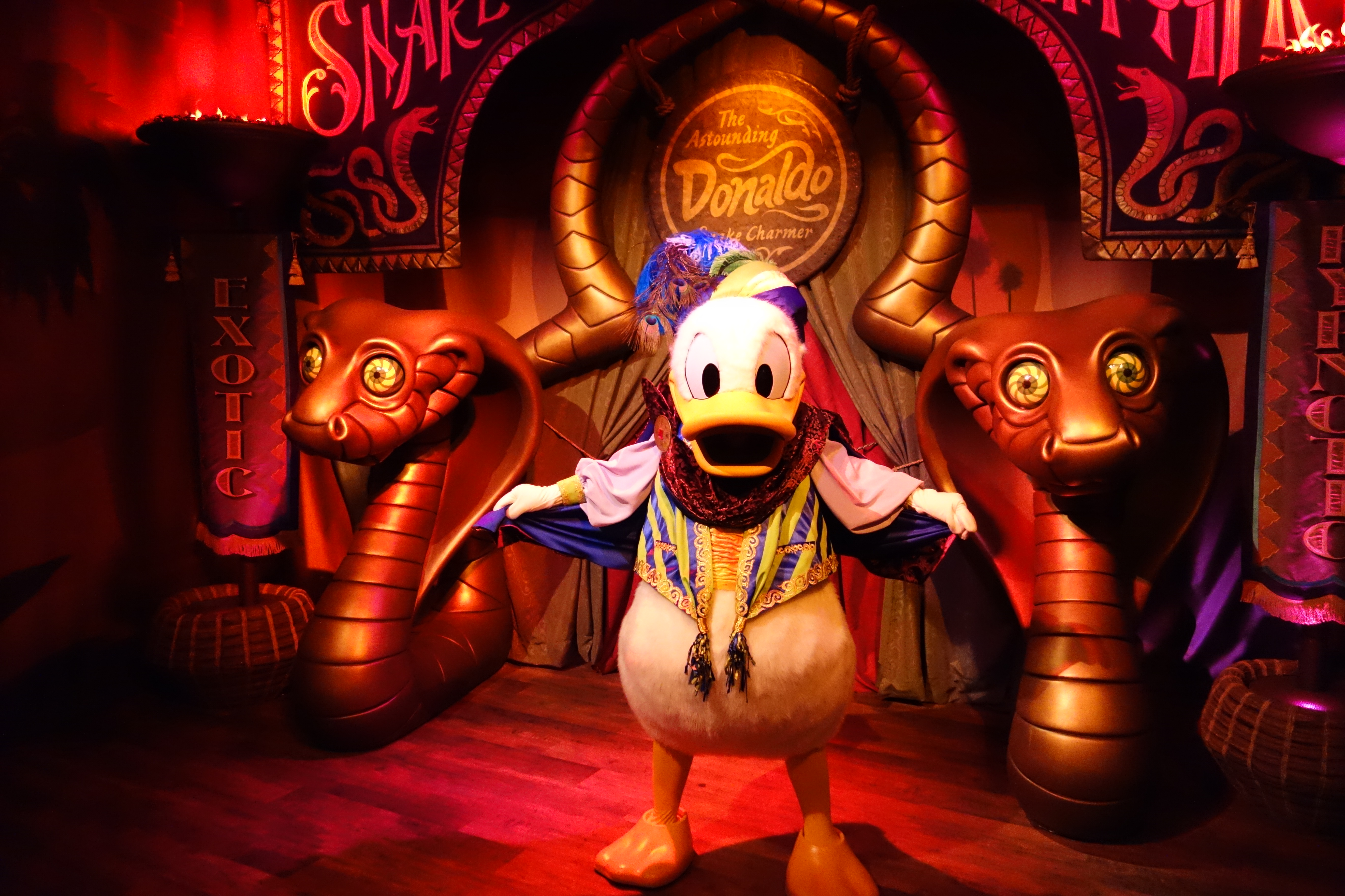 Donald Duck as "The Astounding Donaldo" in Pete's Silly Circus during early previews fall 2012
