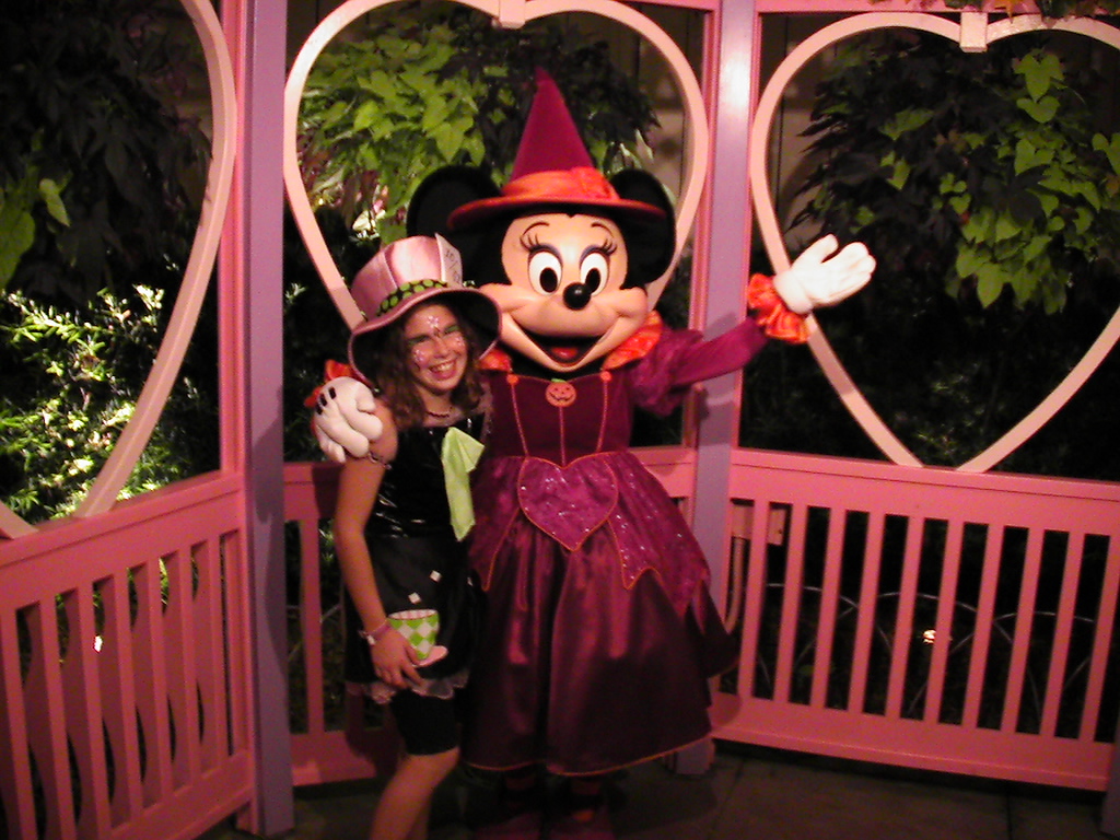 Mickey's Not So Scary Halloween Party 2008