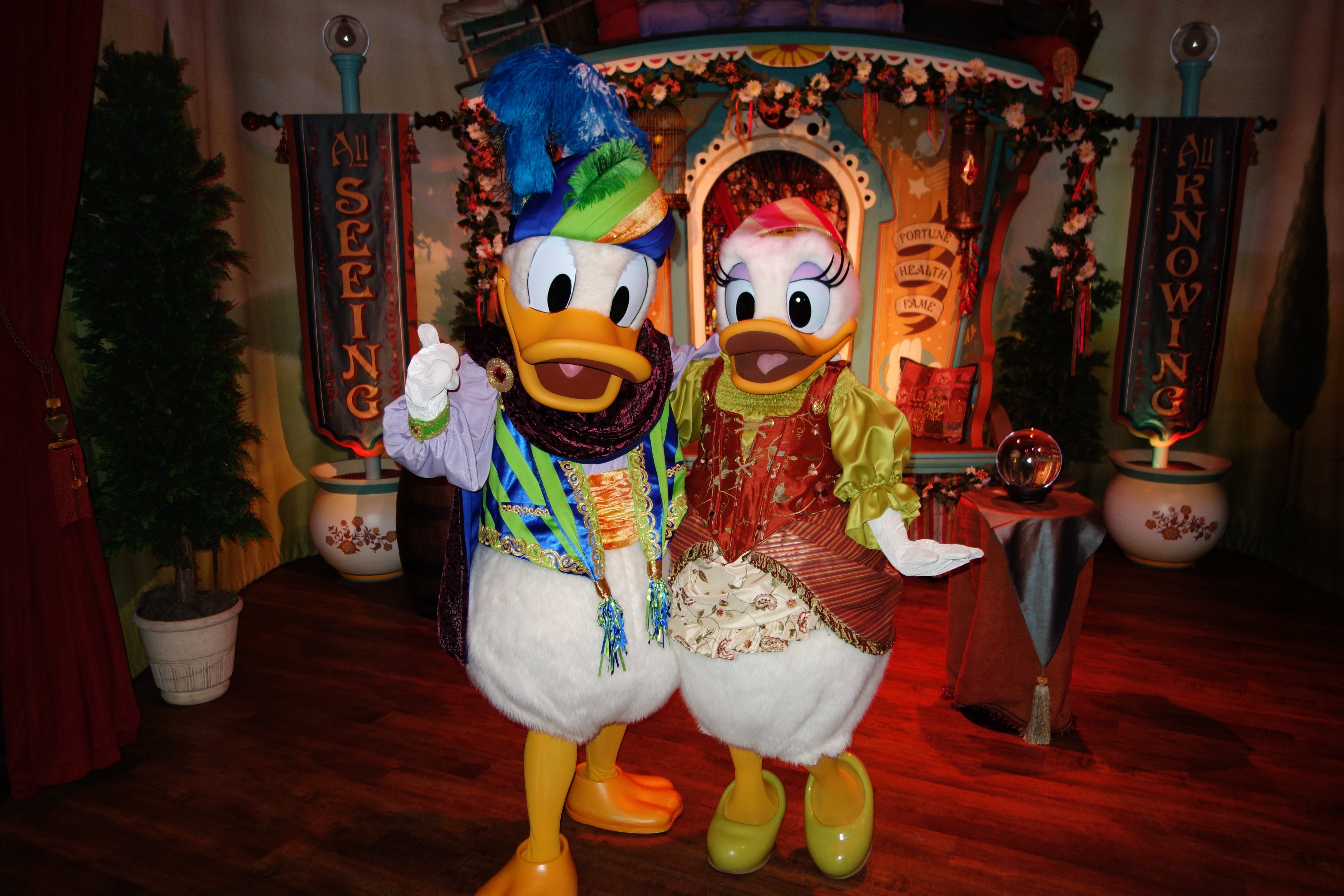 A rare shot of Daisy and Donald together inside Pete's Silly Sideshow.  I entered Goofy/Donald's side.  There was only one family in the tent, so Donald was escorting a family from his meet to Minnie.  He had to stop to give Daisy a little smooch and I crossed the rope (jumped it) and hustled over to request this rare photo.  They work together thematically very well.