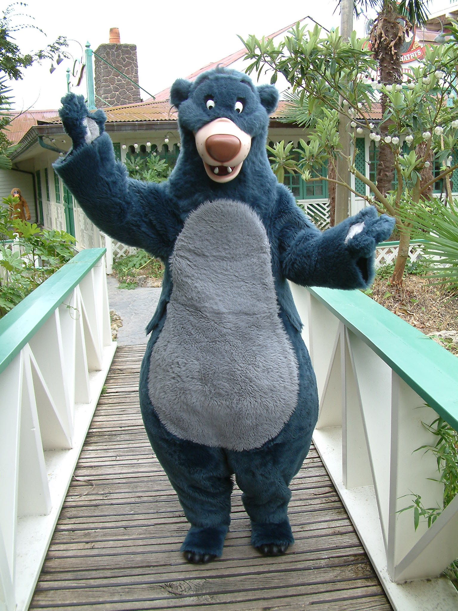 Baloo can be found most of the time in Adventureland.