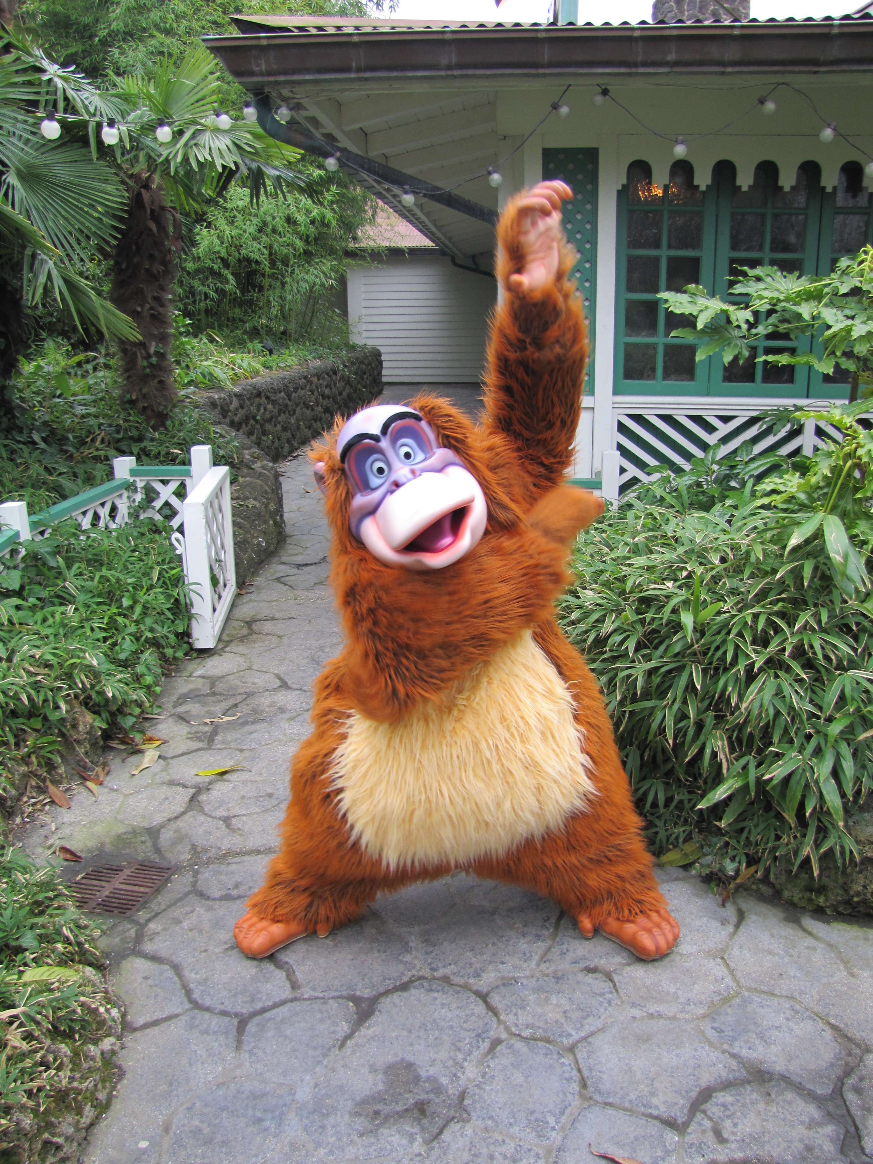 King Louie can be found most of the time in Adventureland.