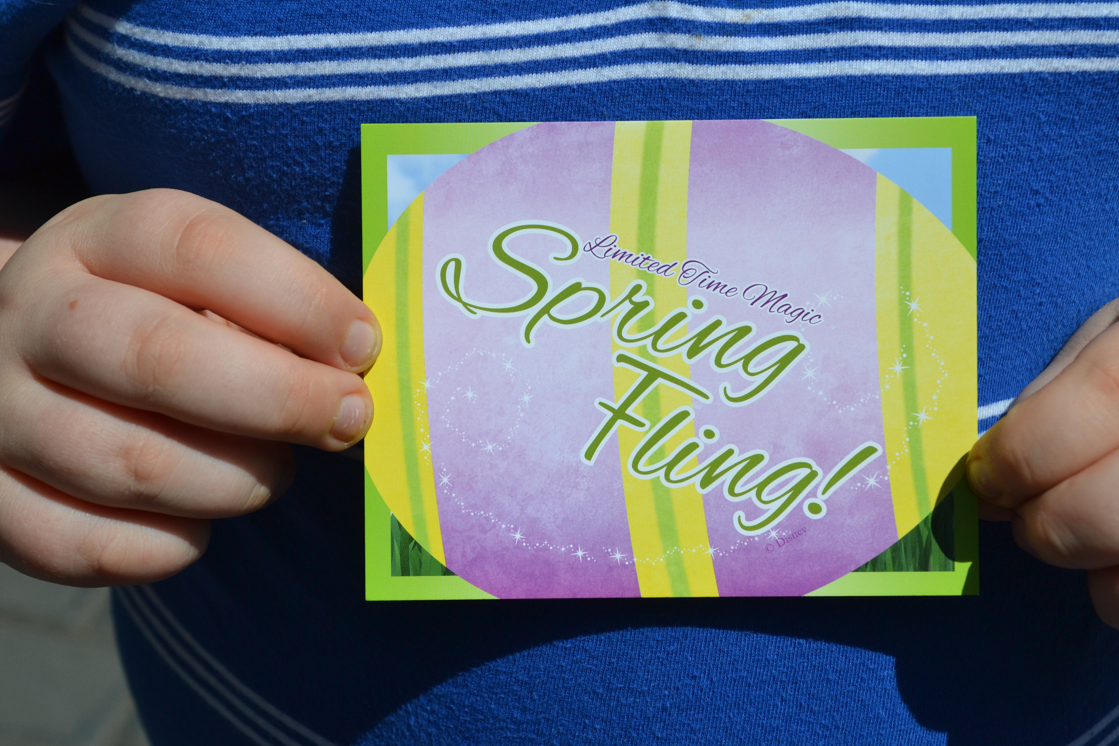 Limited Time Magic Spring Fling (12)