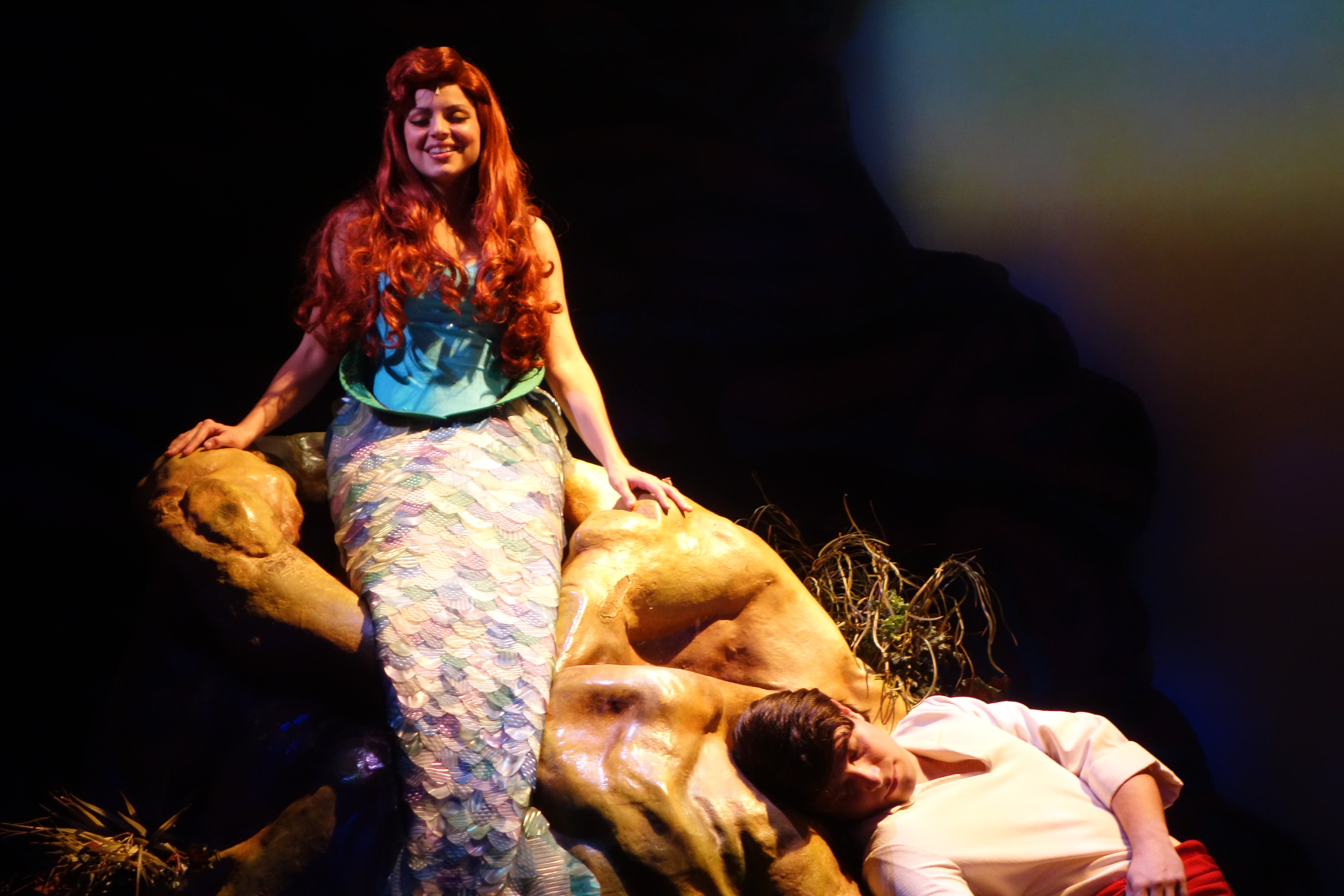 Voyage of the Little Mermaid (18)