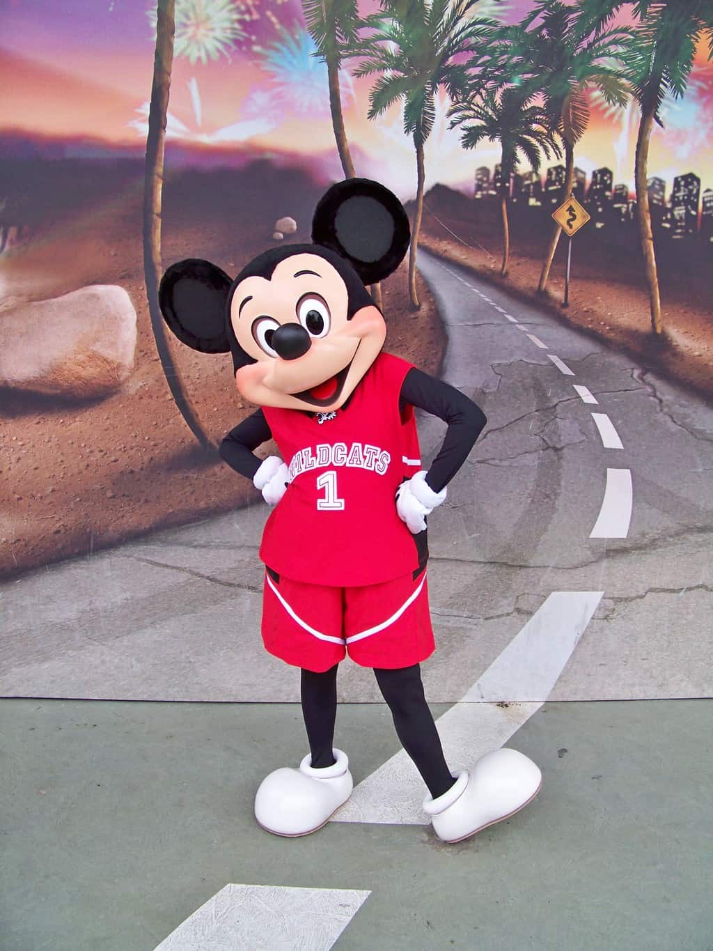Mickey showing his support for the Wildcats from High School Musical at the Walt Disney Studios in 2009.