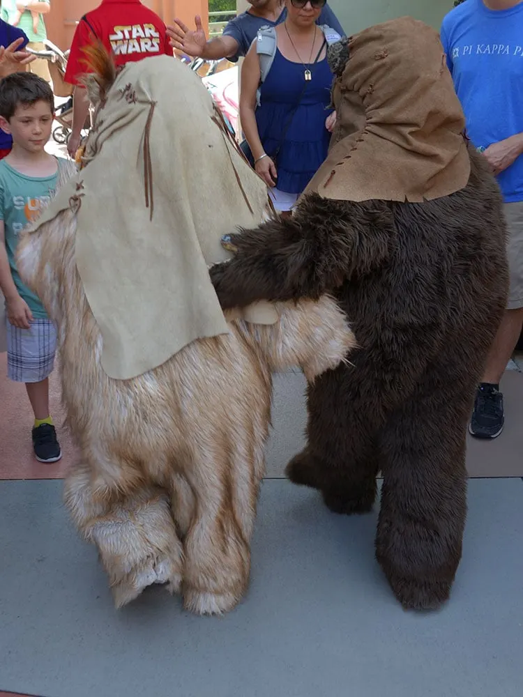 Paploo the Ewok and Wicket