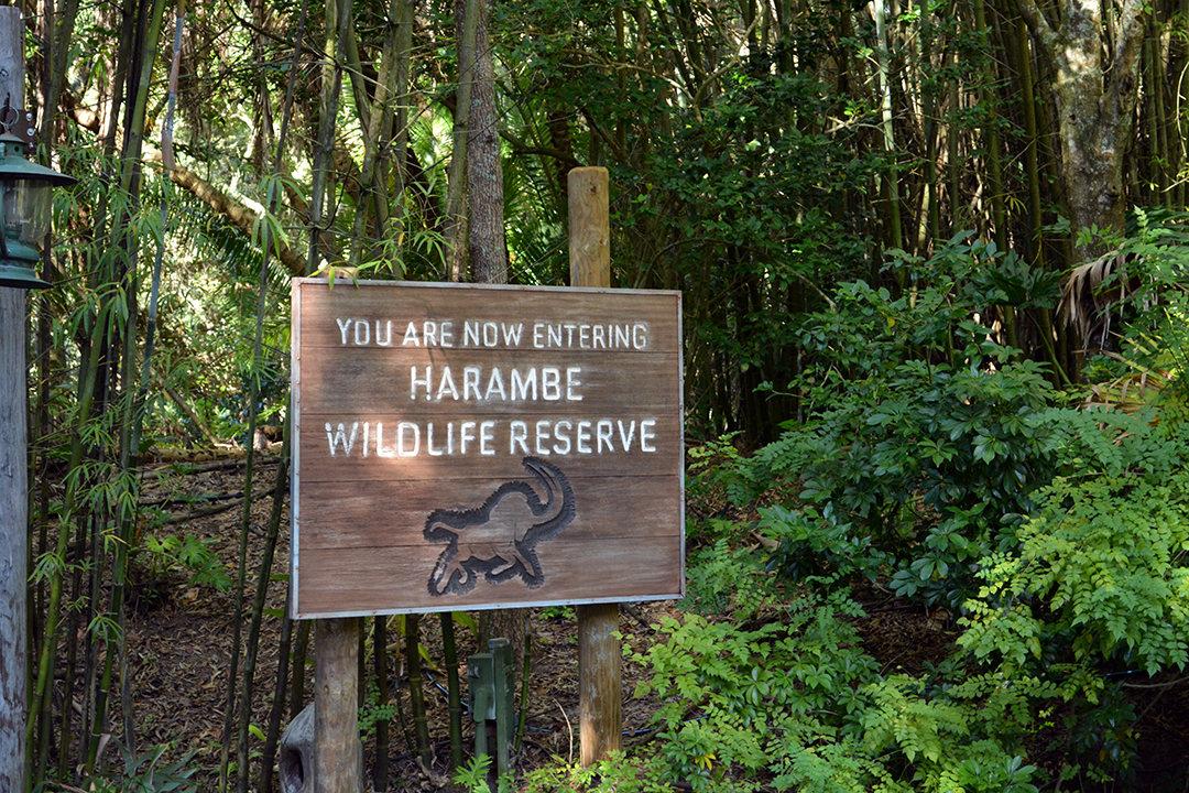 Walt Disney World Animal Kingdom Kilimanjaro Safaris (4)