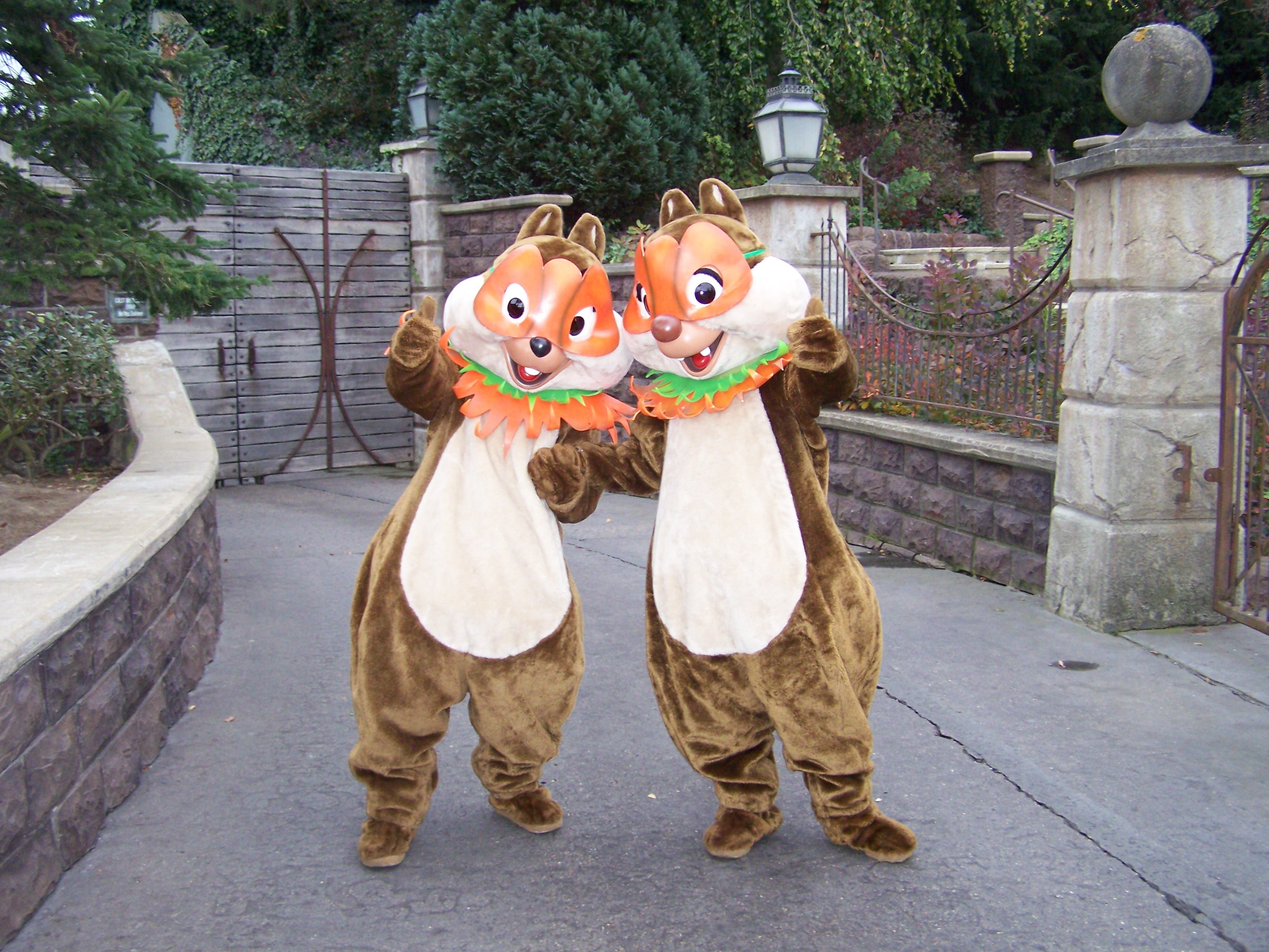 In 2007 Chip'n'Dale were meeting guests in front of Phantom Manor and got into Halloween by wearing these masks.