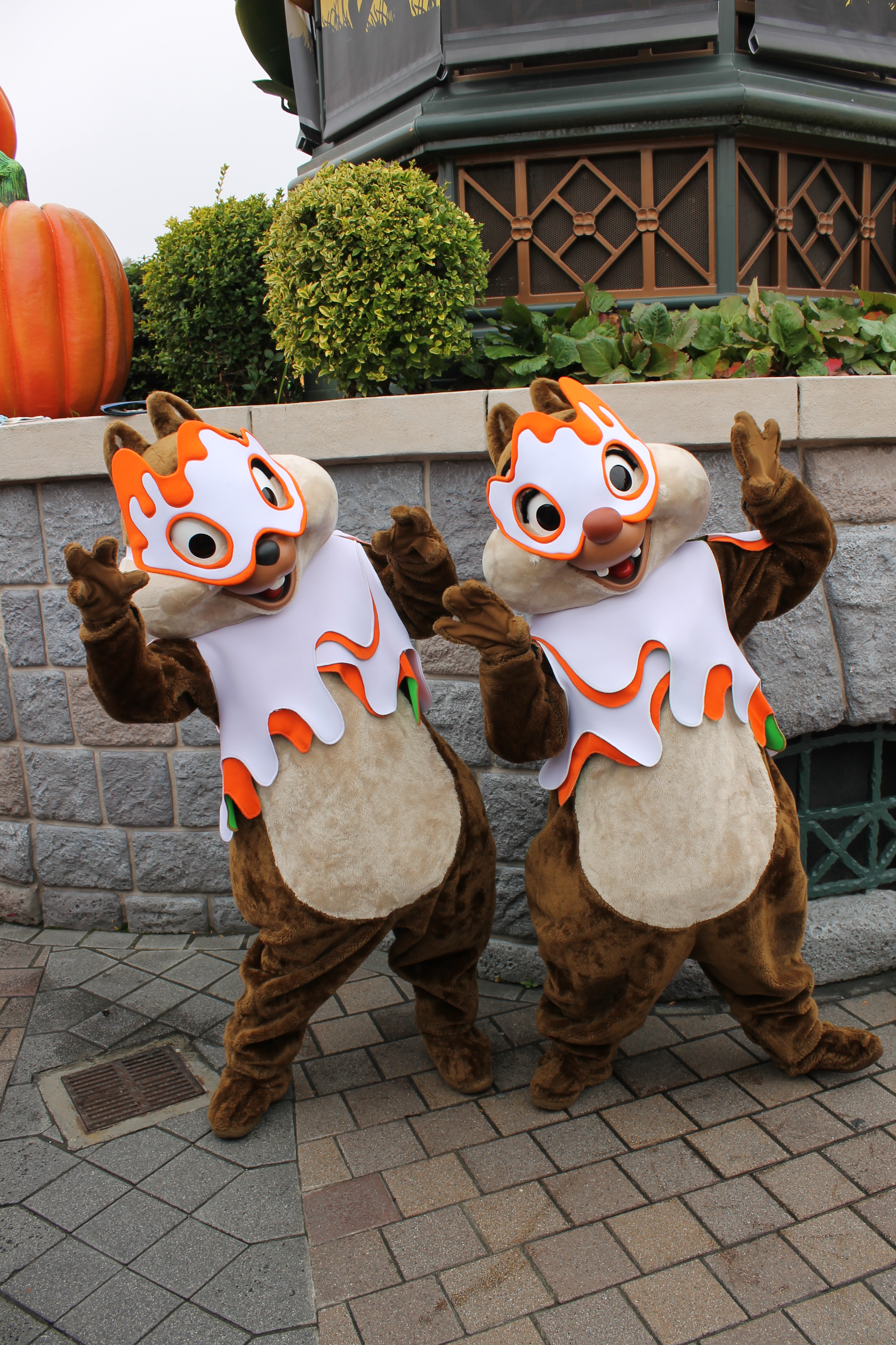 These costumes were used during the Halloween Season 2011 and 2012. They wore them in a Halloween show and after each show they did a short meet'n'greet with guests.