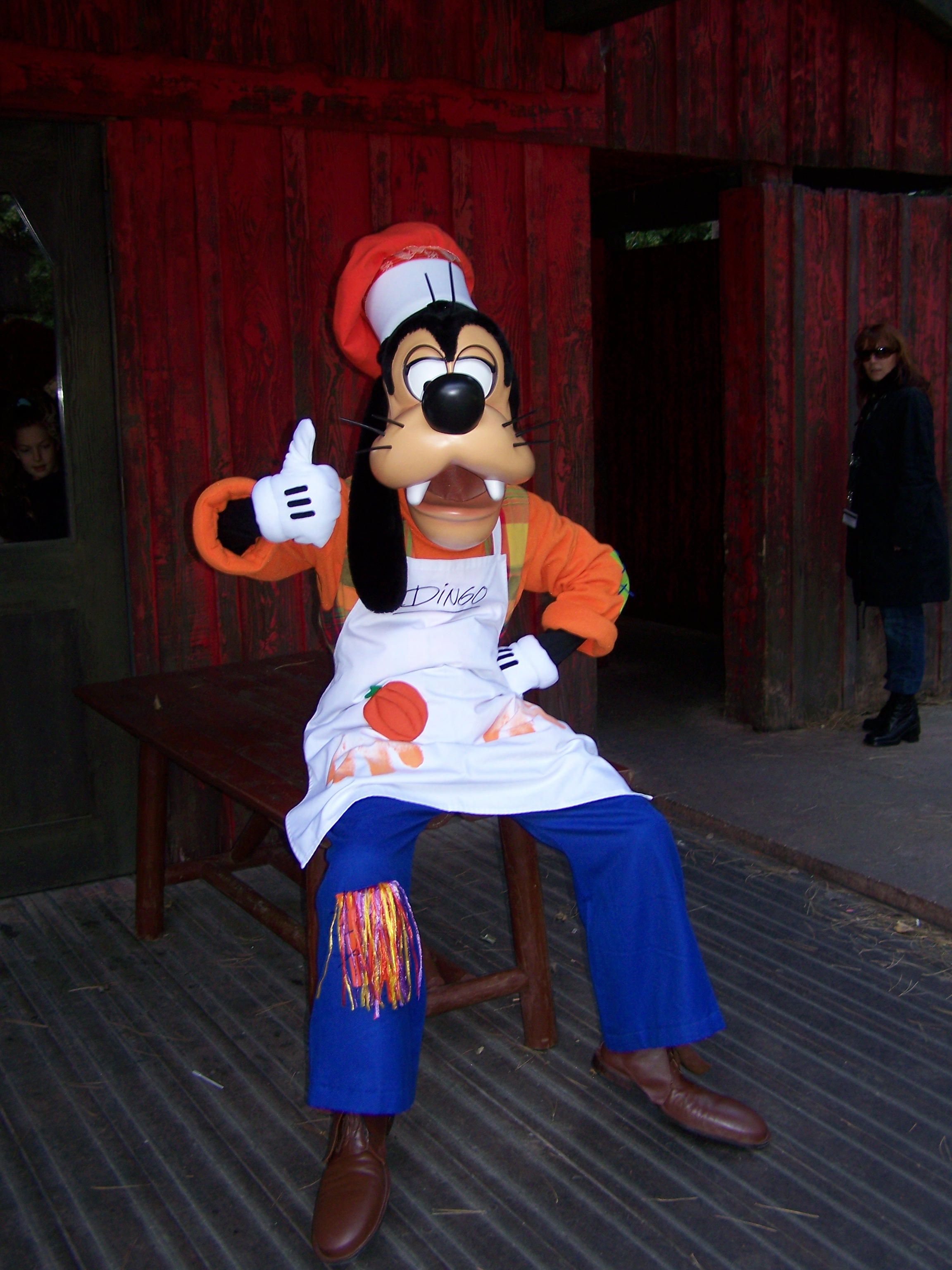 During the Halloween season of 2007 Goofy had a small show in Frontierland featuring breakdancers. He wore this Halloween Cook outfit during this show.