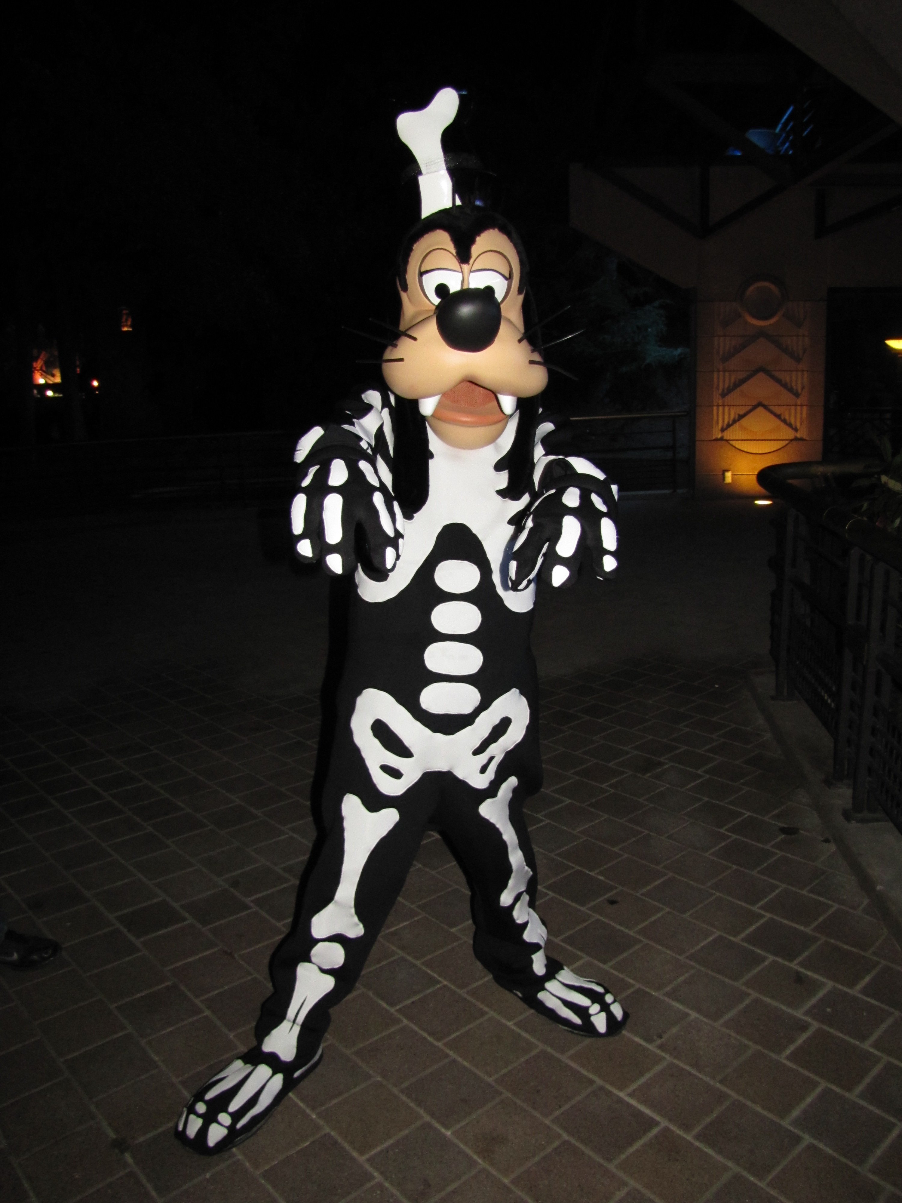 Goofy wearing his skeleton outfit during the Halloween Party 2011; this costume was also being used at the Halloween Show during Halloween season 2011 and 2012.