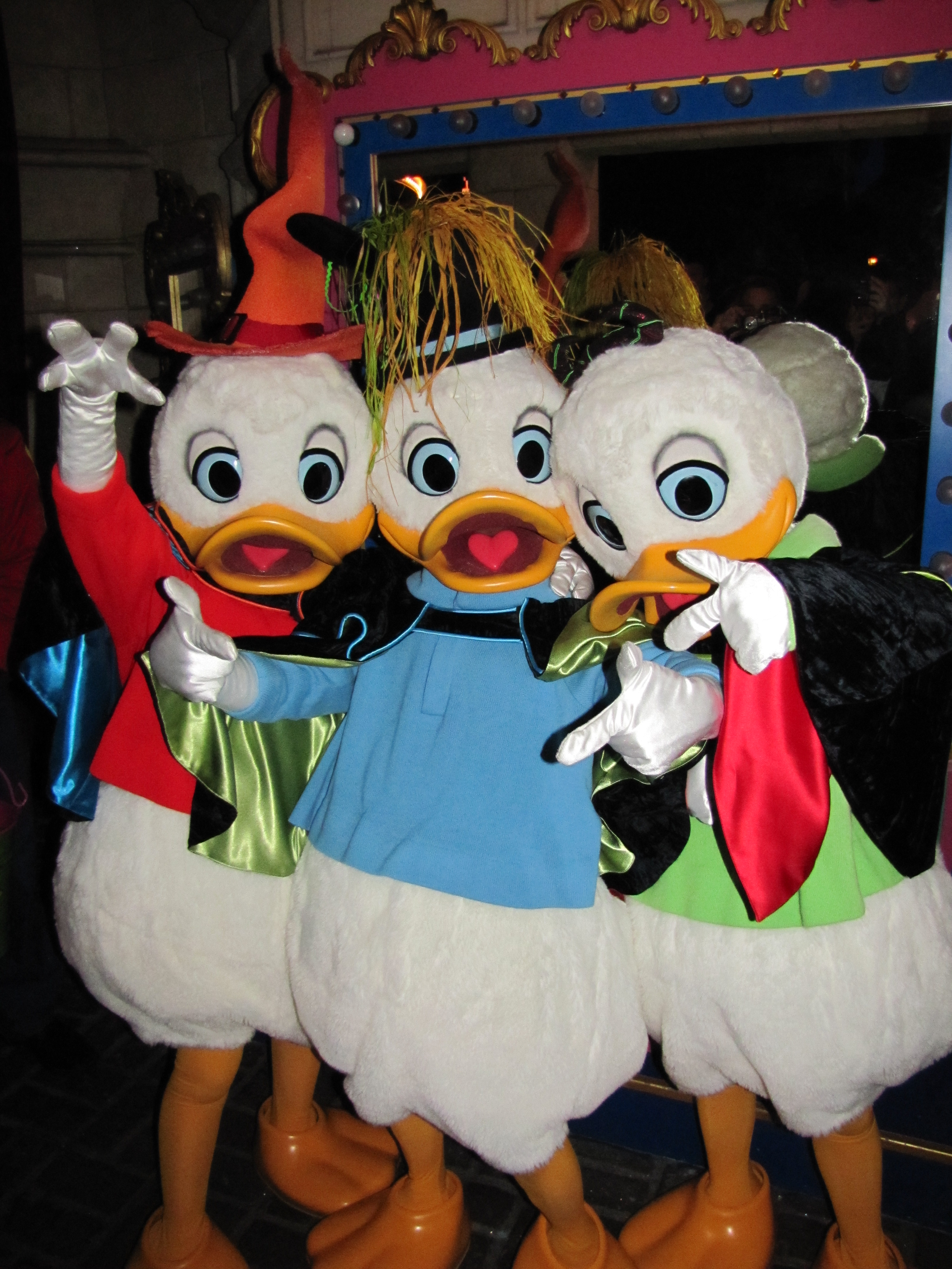 During the Halloween Party on October 31st 2011 Huey, Dewey and Louie did meet'n'greets with guests. This was the first time the three came out to greet guests at Disneyland Paris.