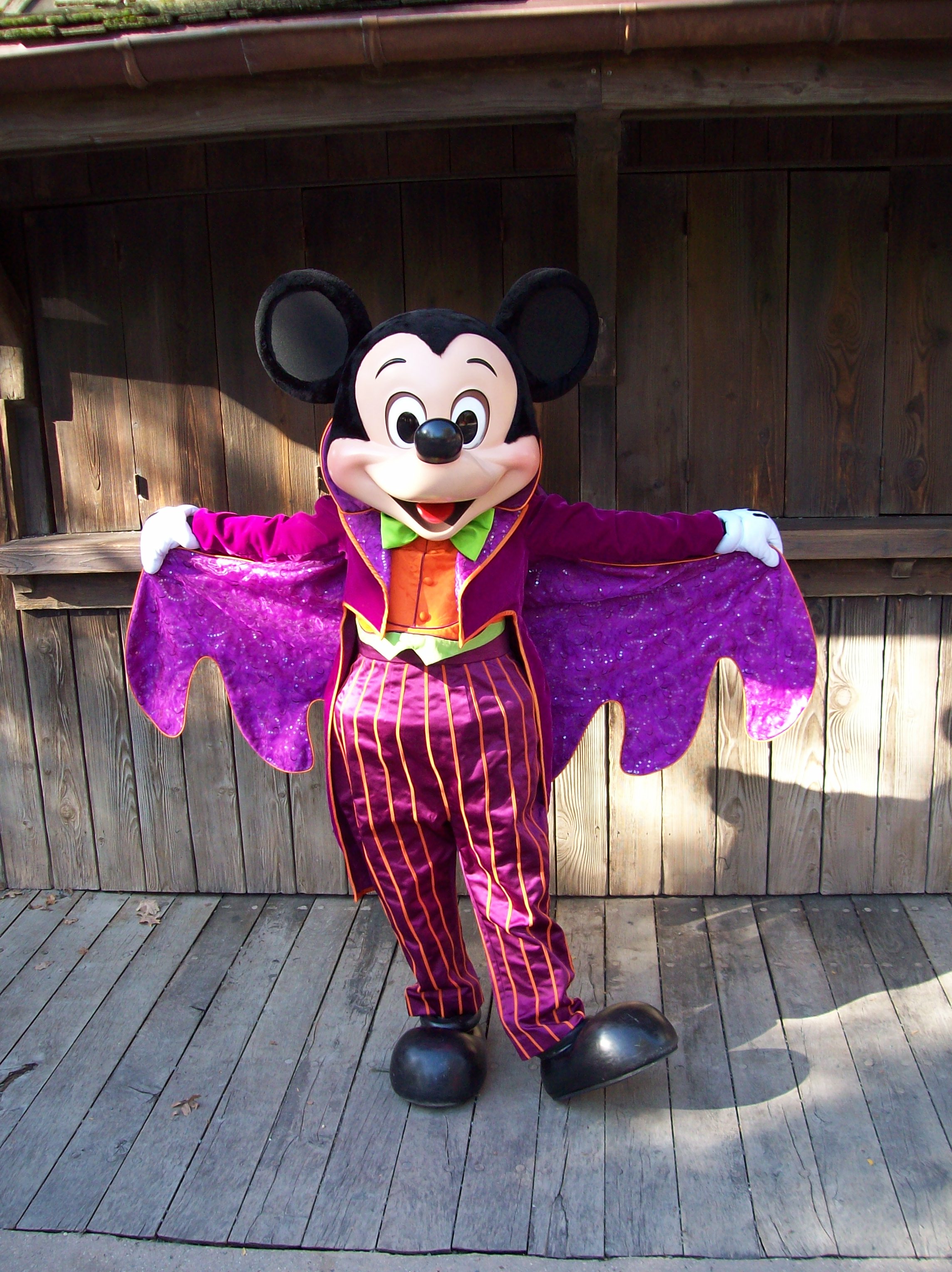 In 2008 Mickey was showing his Halloween side by wearing this purple Halloween outfit. Mickey couldn't decide if he wanted to wear his top hat with it or not, in this photo he decided to not wear it.