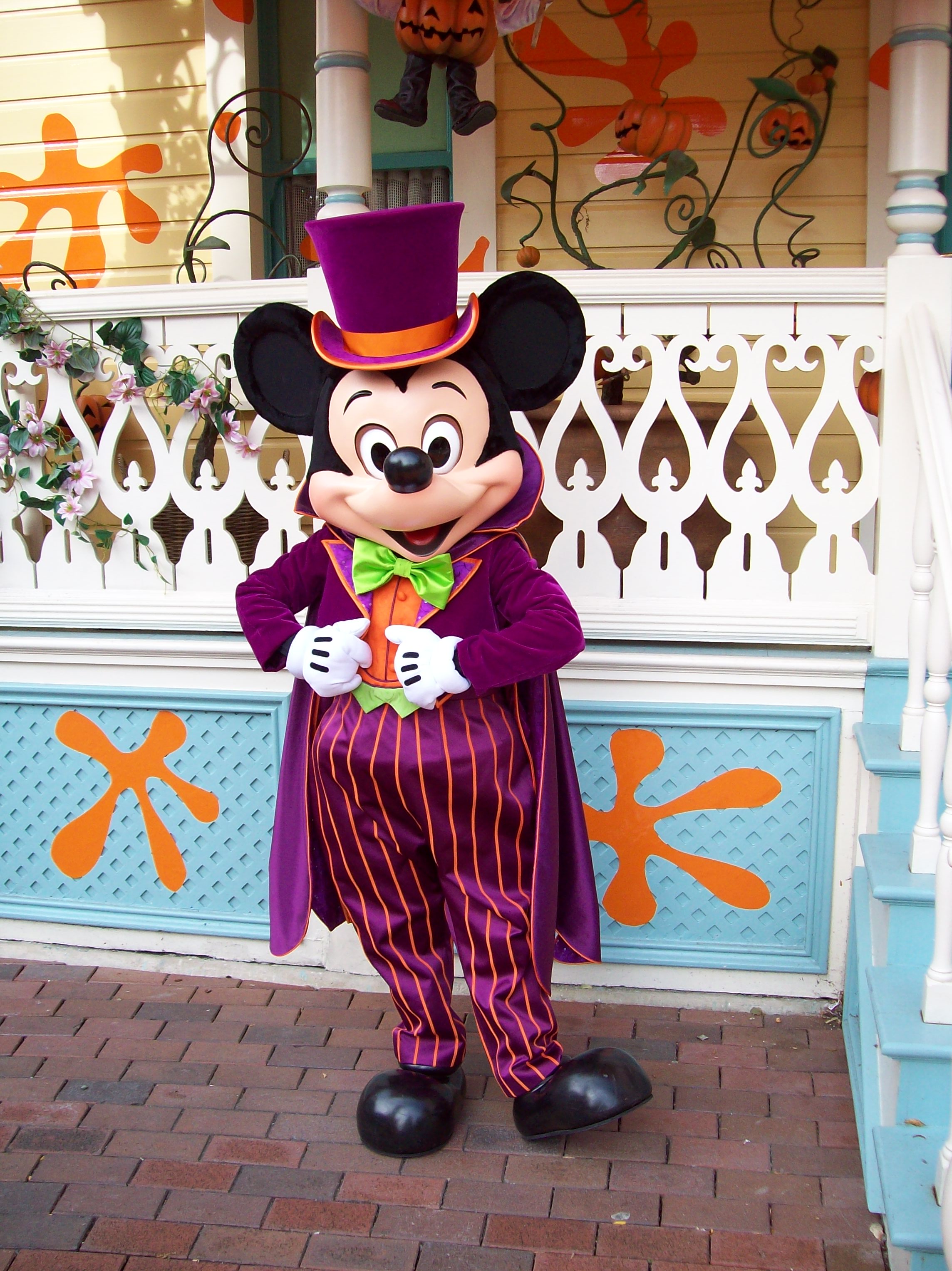 In 2008 Mickey was showing his Halloween side by wearing this purple Halloween outfit. Mickey couldn't decide if he wanted to wear his top hat with it or not, in this photo he decided to wear it.