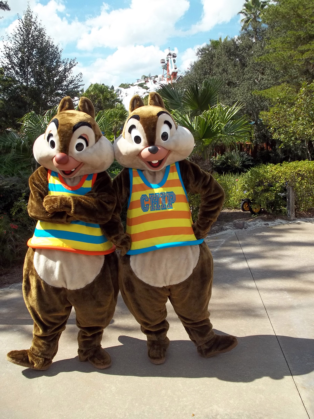 Walt Disney World, Character Meet and Greet, Halloween, Blizzard Beach, Chip n Dale
