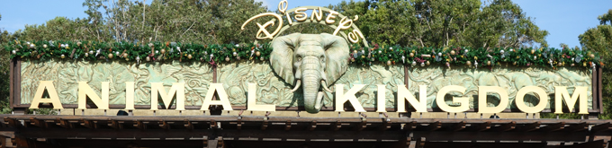 Walt Disney World, Animal Kingdom Entrance