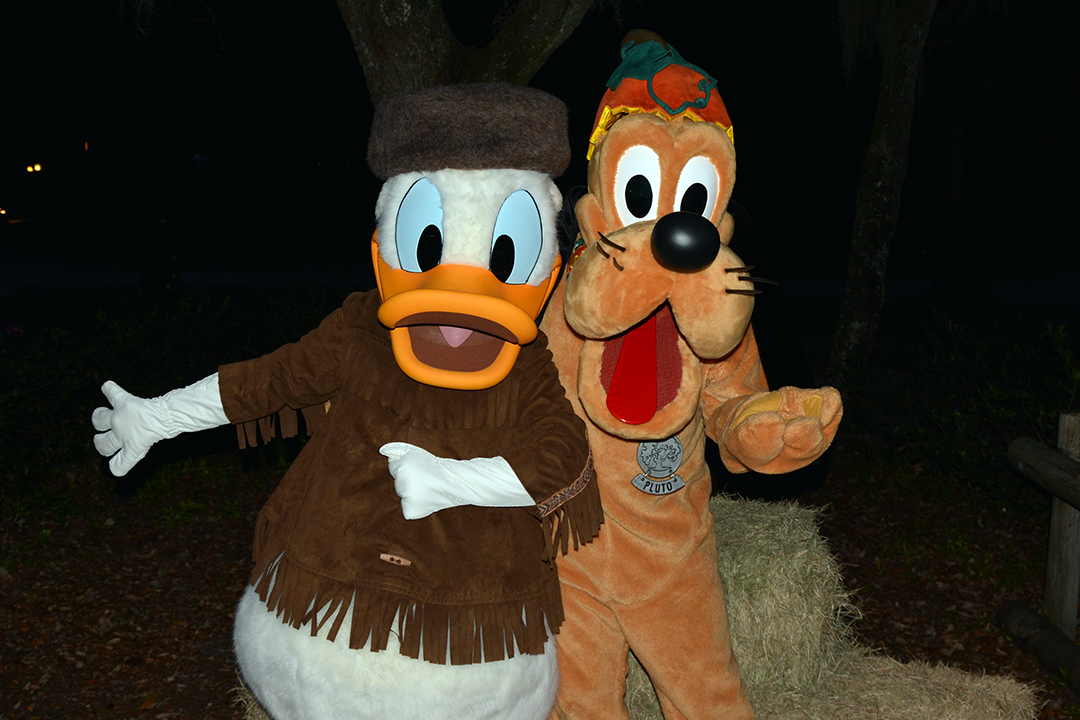Walt Disney World, Character Meet and Greet, Halloween, Fort Wilderness, Donald Duck, Pluto