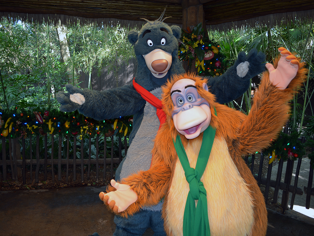 Walt Disney World, Animal Kingdom, Christmas 2013, Camp Minnie Mickey, Baloo, King Louie