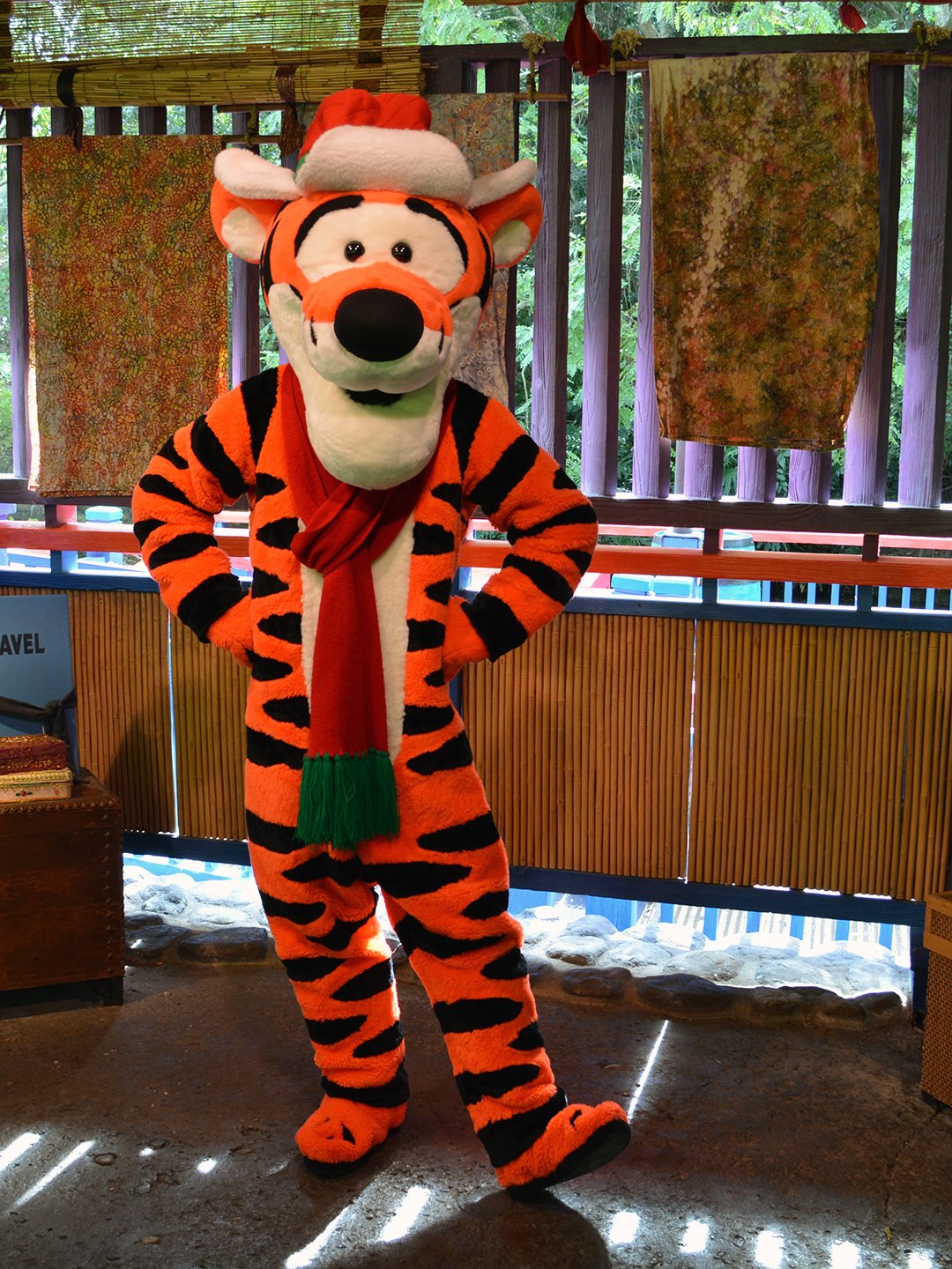 Walt Disney World, Animal Kingdom, Christmas 2013, Meet and Greet, Tigger