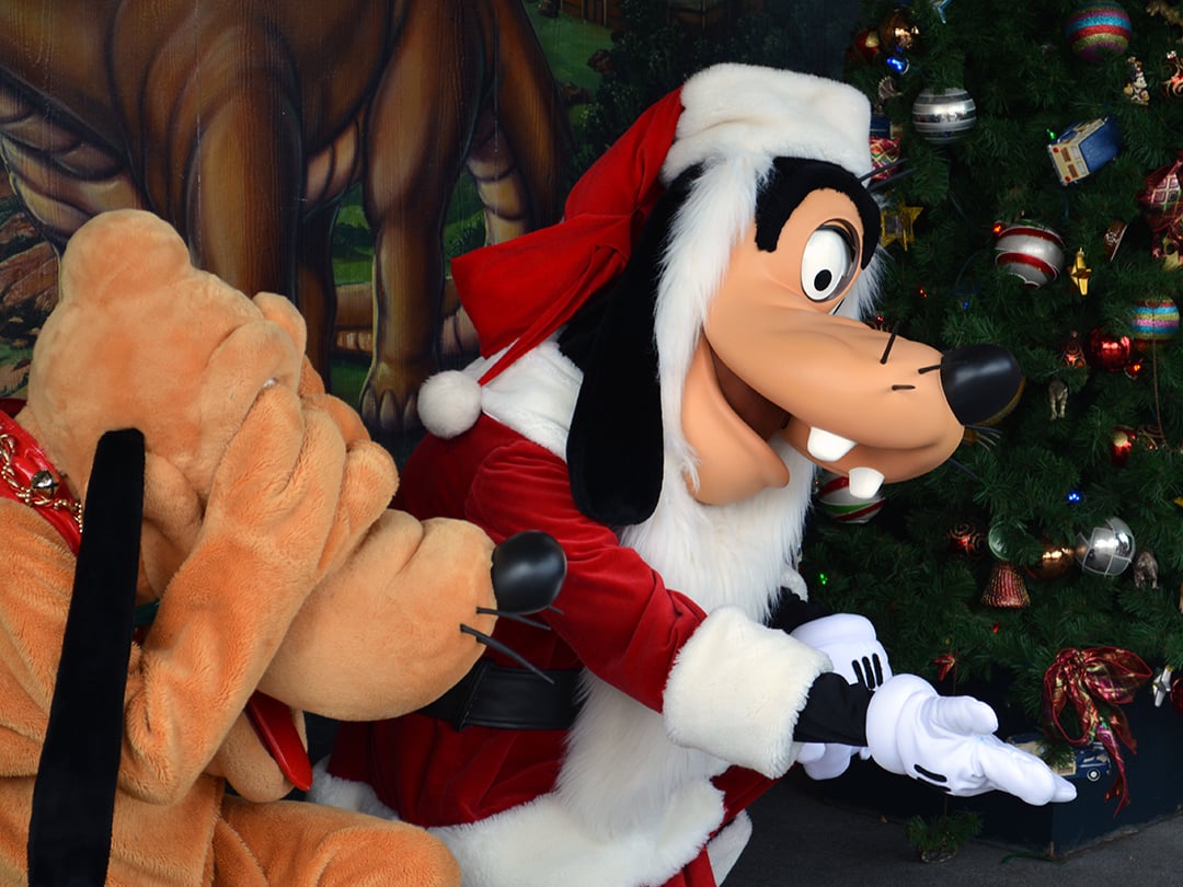 Walt Disney World, Animal Kingdom, Christmas 2013, Meet and Greet, Goofy and Pluto