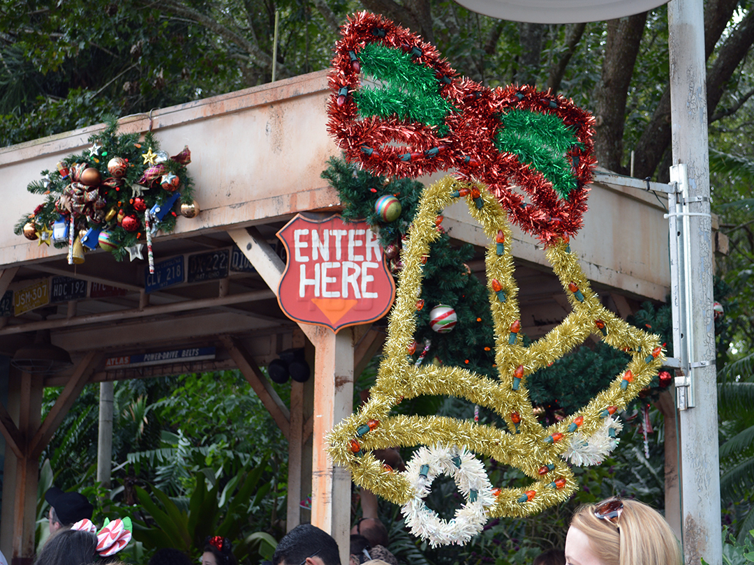 Walt Disney World, Animal Kingdom, Christmas 2013, Dinoland