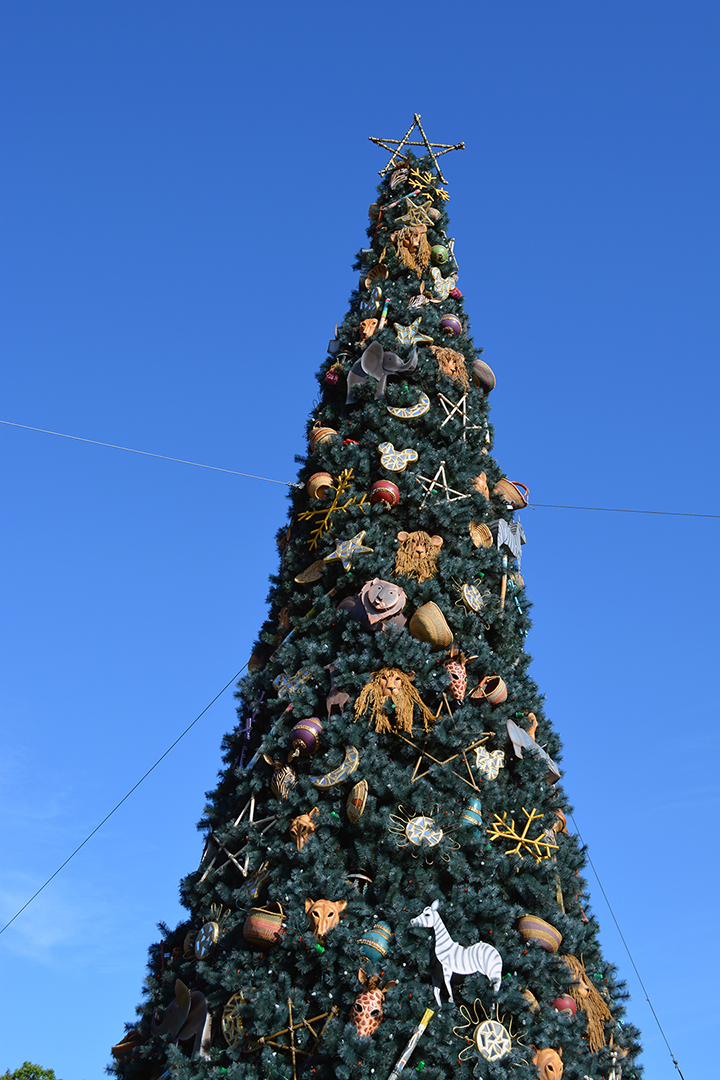 Walt Disney World, Animal Kingdom, Christmas 2013, Christmas Tree