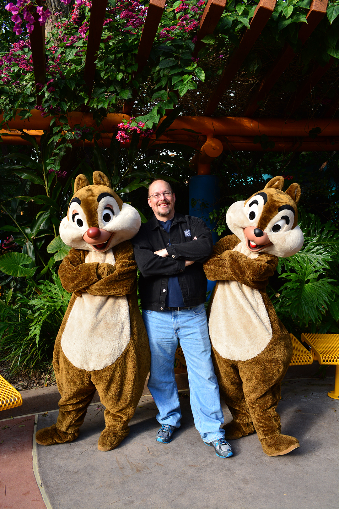 Walt Disney World, Animal Kingdom, Character Changes, January 2014, Chip n Dale