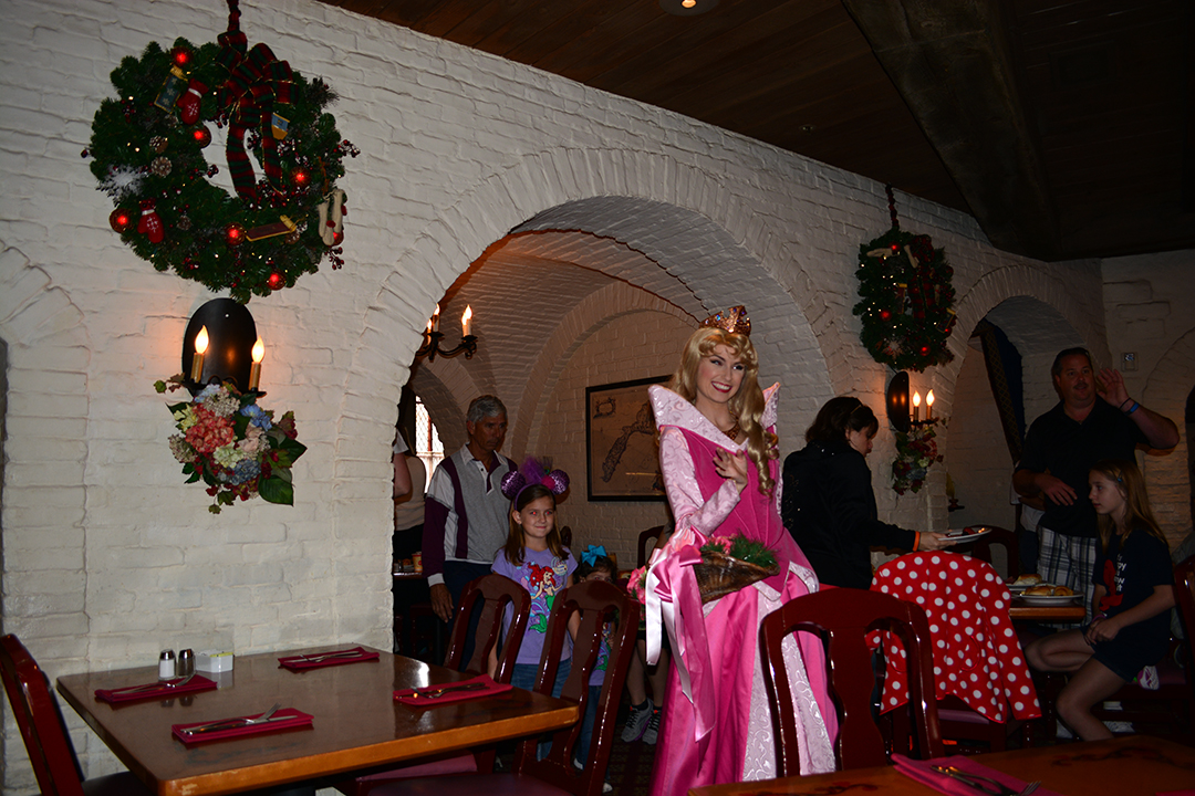 Walt Disney World, Epcot, Akershus Royal Banquet Hall, Princess Character Meal, Belle in Christmas Dress, Aurora, Briar Rose, Sleeping Beauty