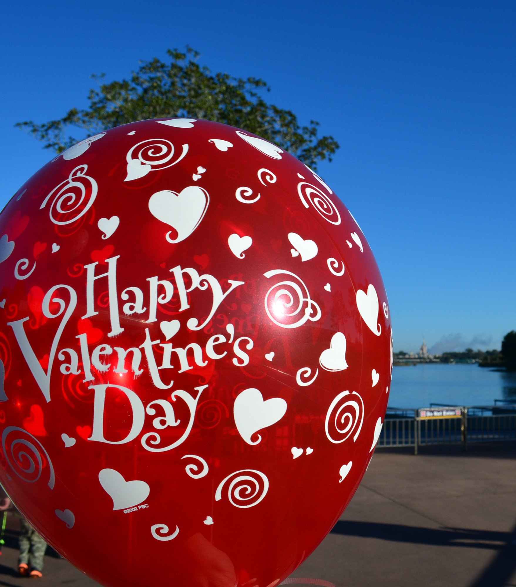 Walt Disney World, Magic Kingdom, Valentines Day