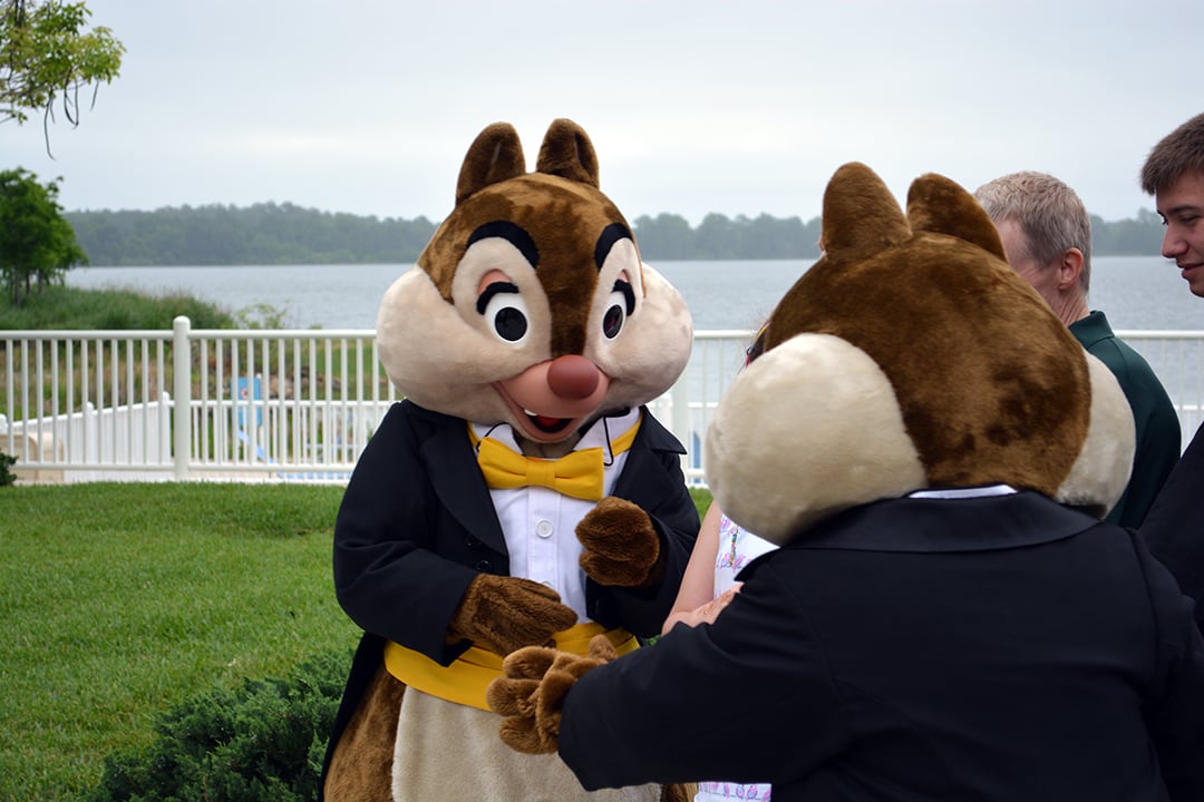 Easter Contemporary Resort character meet and greets Chip n Dale