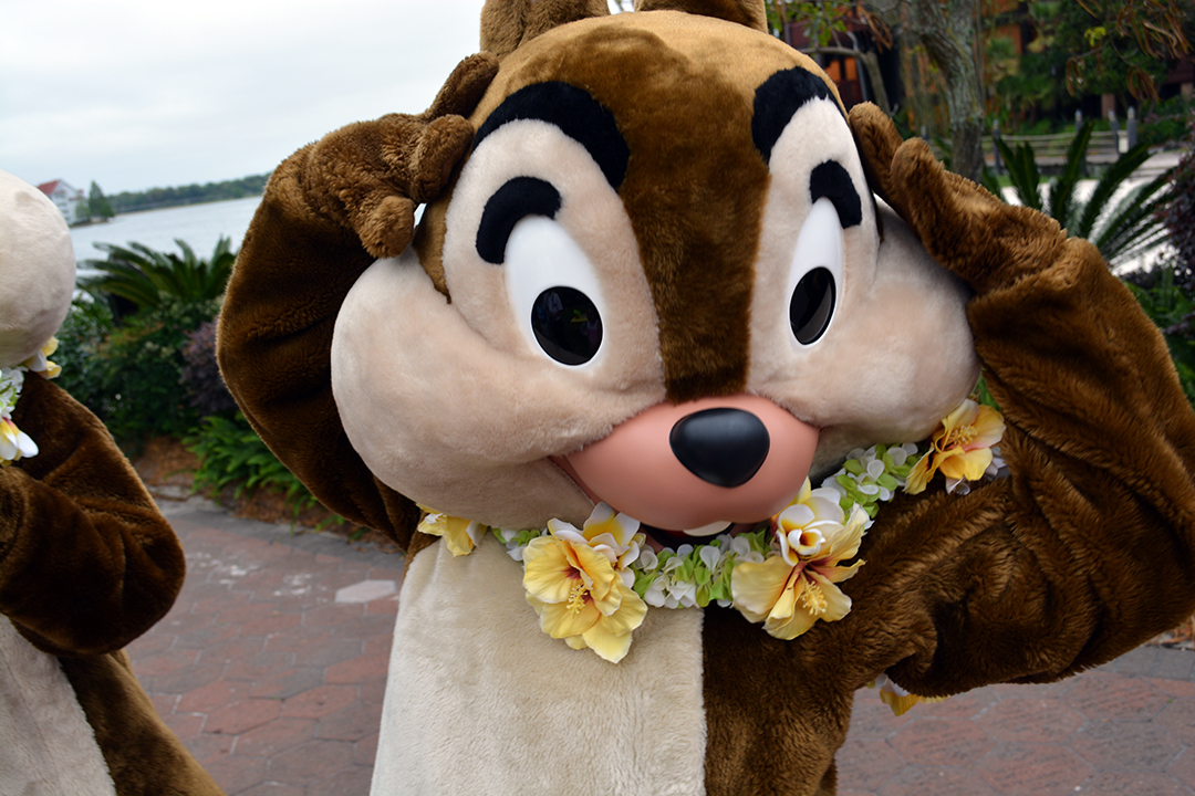 Easter Polynesian Resort character meet and greets Chip n Dale