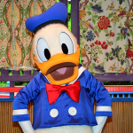 Donald Duck in his blue sailor suit at Disney World Animal Kingdom meet and greet