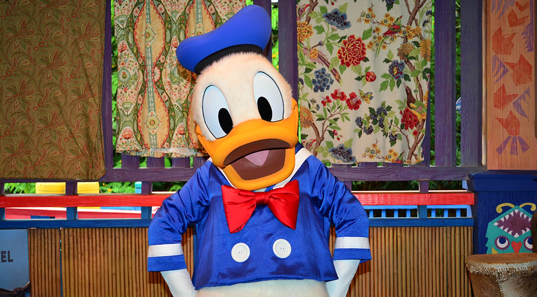 Donald Duck in his blue sailor suit at Disney World Animal Kingdom meet and greet
