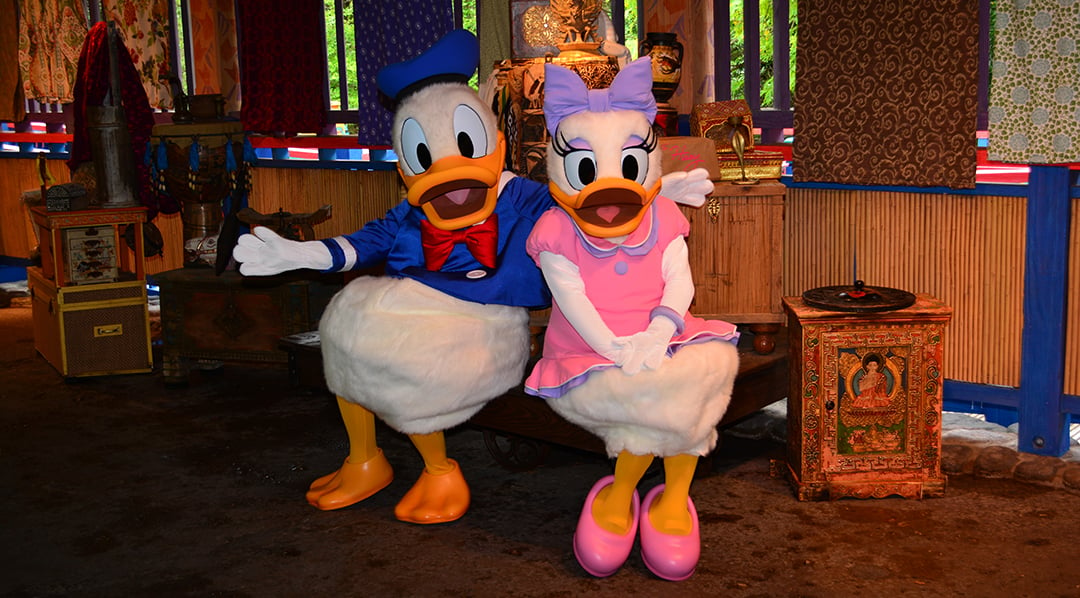 Photo of Daisy Duck and Donald Duck together at Disney's Animal Kingdom