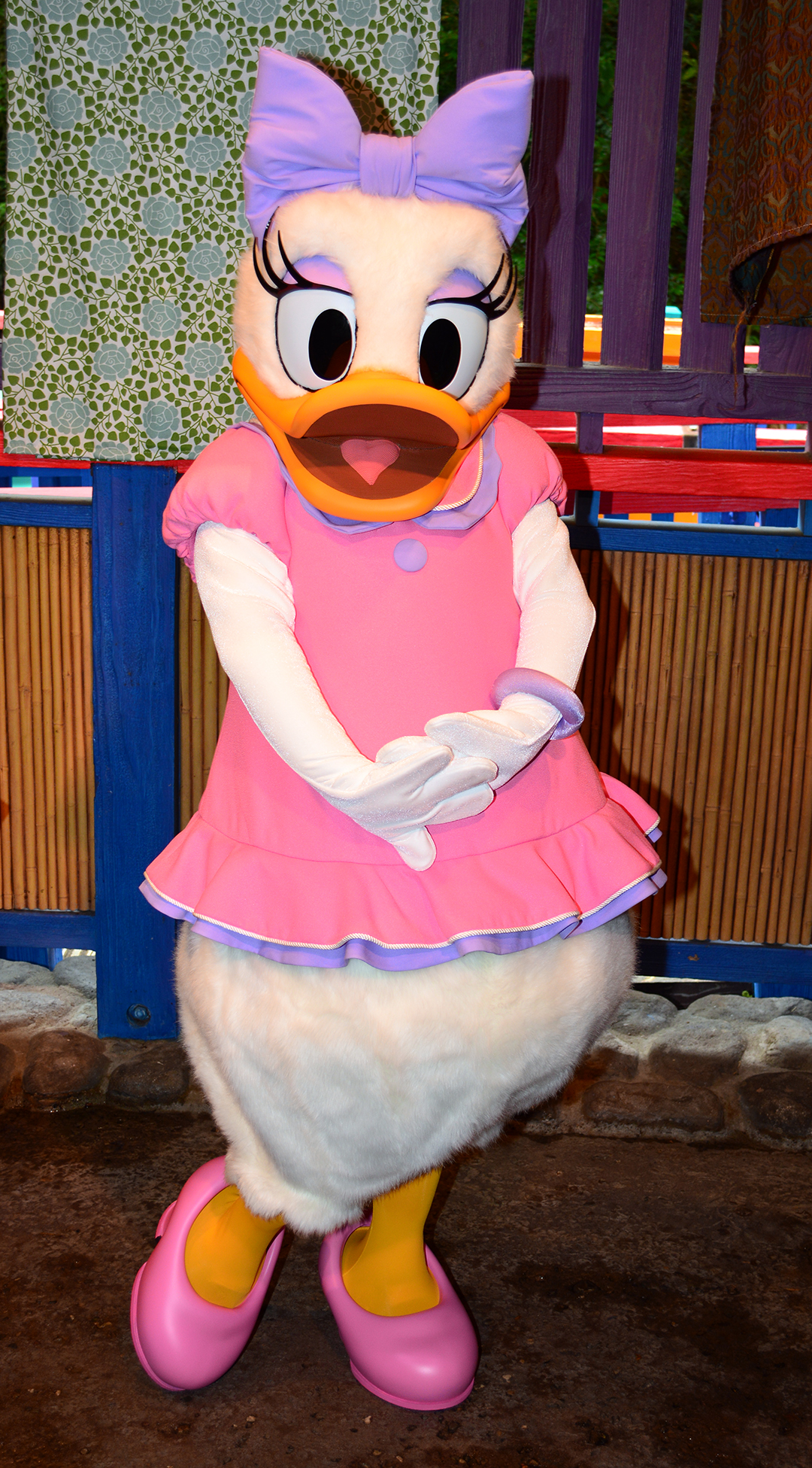 Daisy appearing in her pink dress in Animal Kingdom's Discovery Island