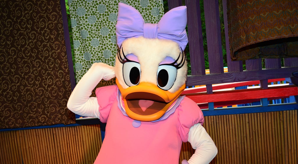 Daisy Duck preening for the camera at Animal Kingdom