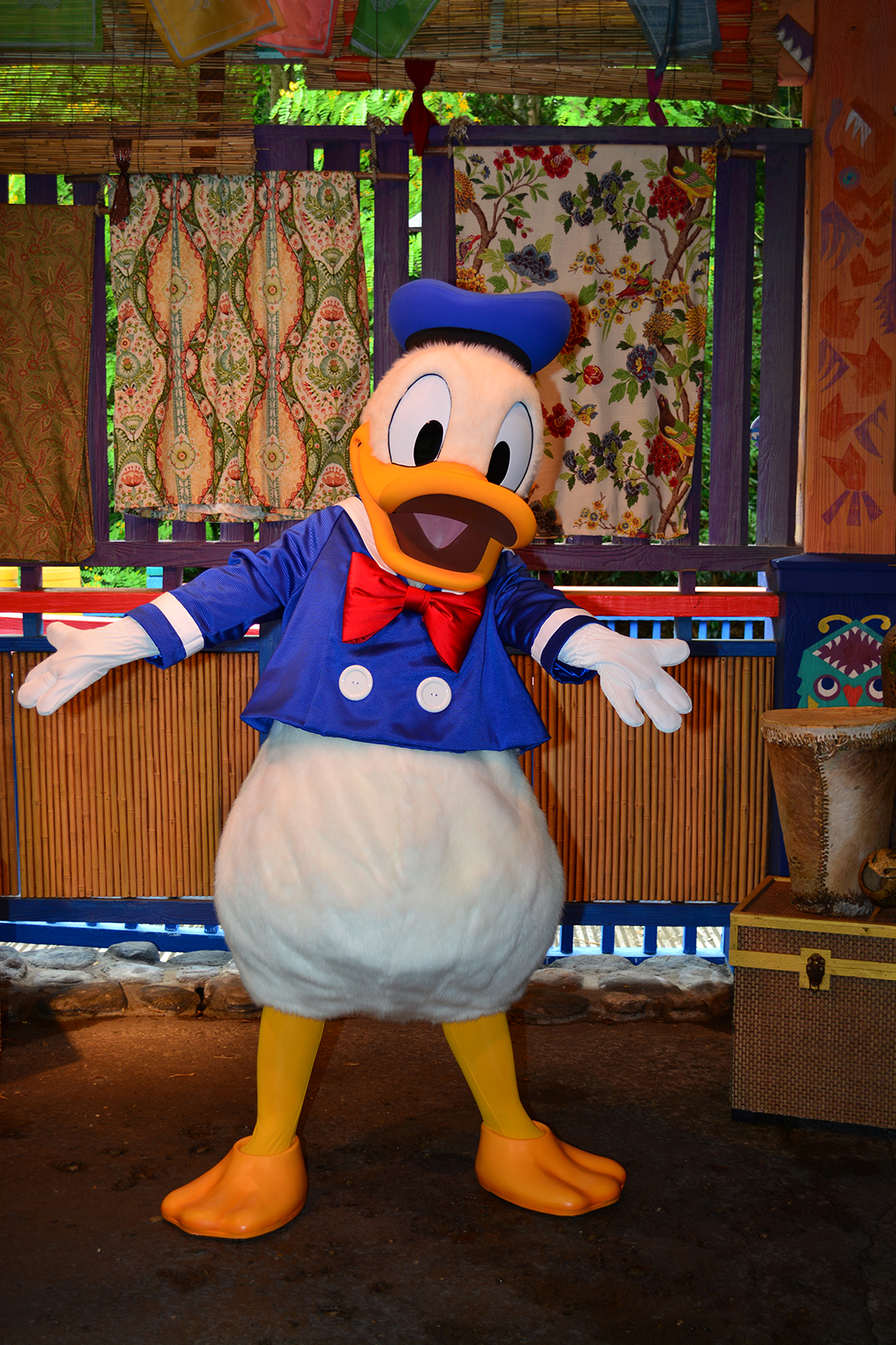 Donald Duck acting up at Animal Kingdom