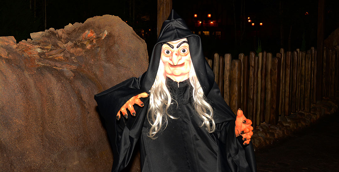 Mickey's Not So Scary Halloween Party 2014 The Witch The Old Hag