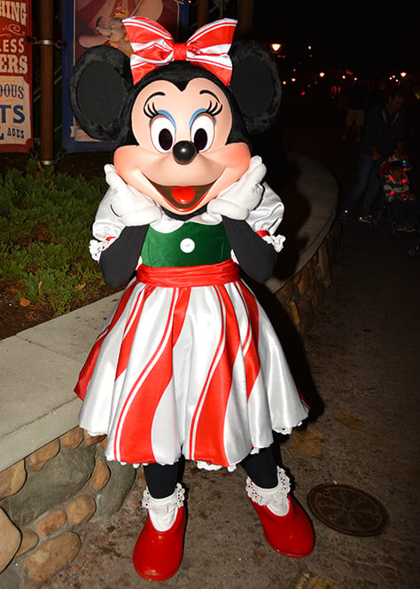 Mickey's Very Merry Christmas Party at Walt Disney World Magic Kingdom November 2014 (7)