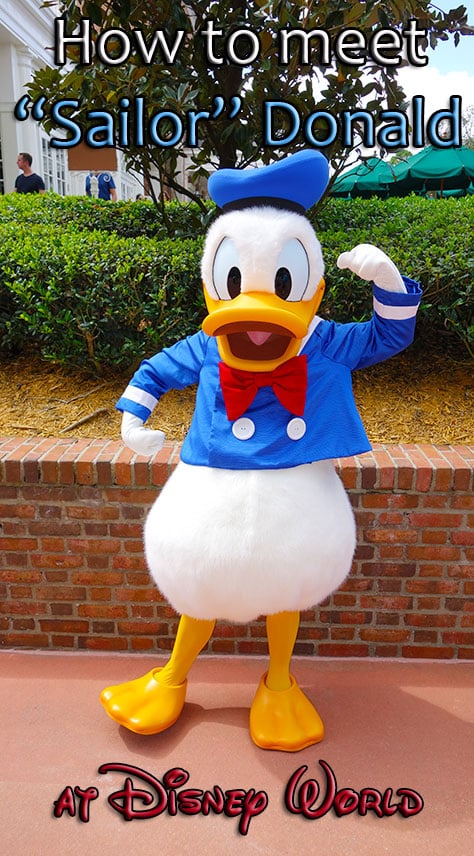 How to meet Sailor Donald Duck at Waltt Disney World KennythePirate