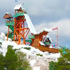 Summit Plummet at Disney's Blizzard Beach Water Park