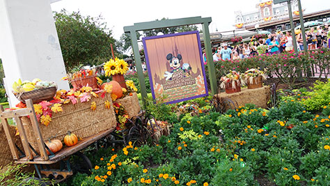 Mickey's Not So Scary Halloween Party at Walt Disney World's Magic Kingdom 2015 (2)