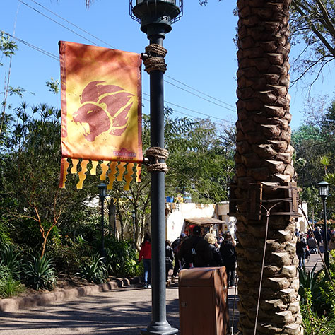 Lion Guard Adventure at Disney's Animal Kingdom (12)